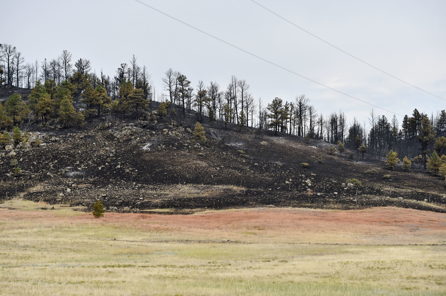 Burned grass and timber